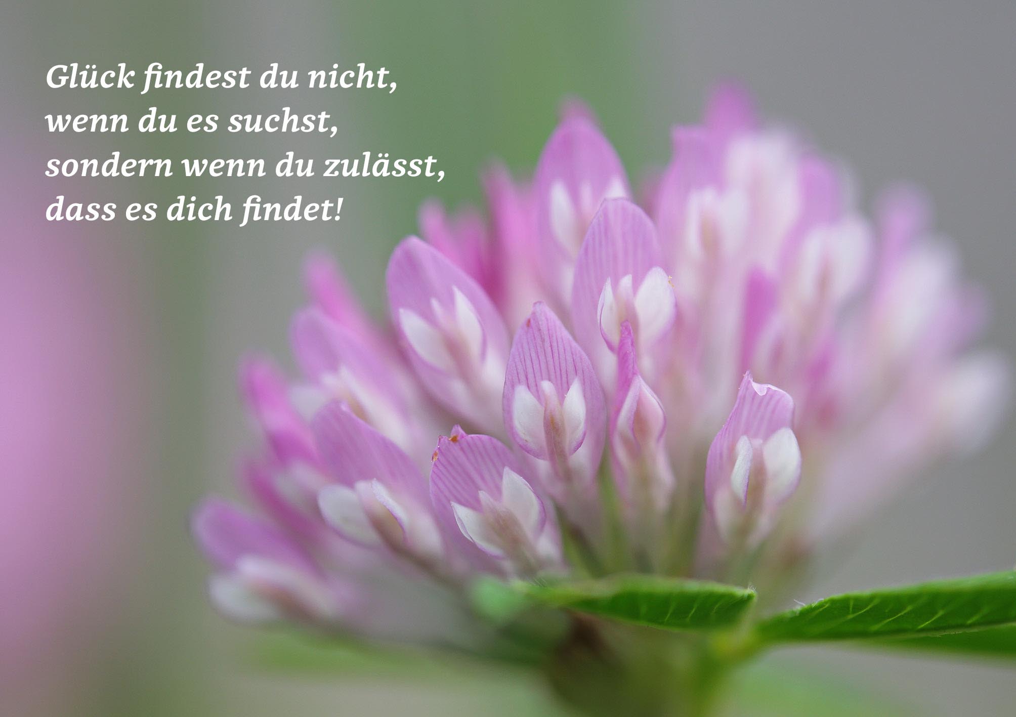  Klappkarte - Gottes große Schöpfung