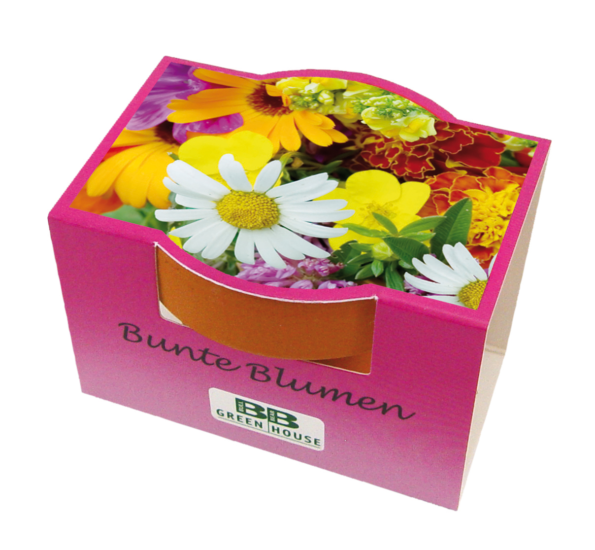 Mini-Pflanzset Bunte Blumen