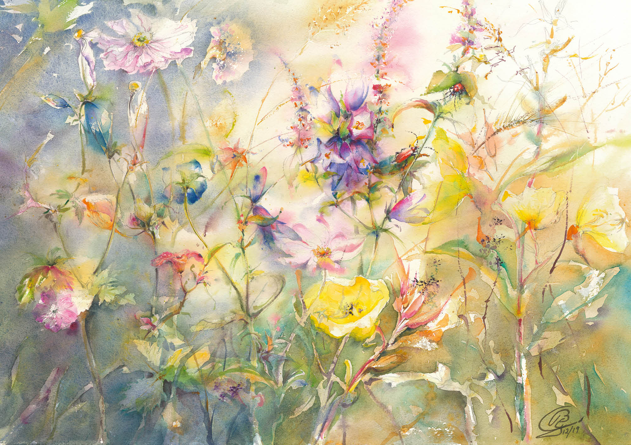 Blumensamen-Karte - Wildblumenwiese Blumensamen-Karte - Wildblumenwiese