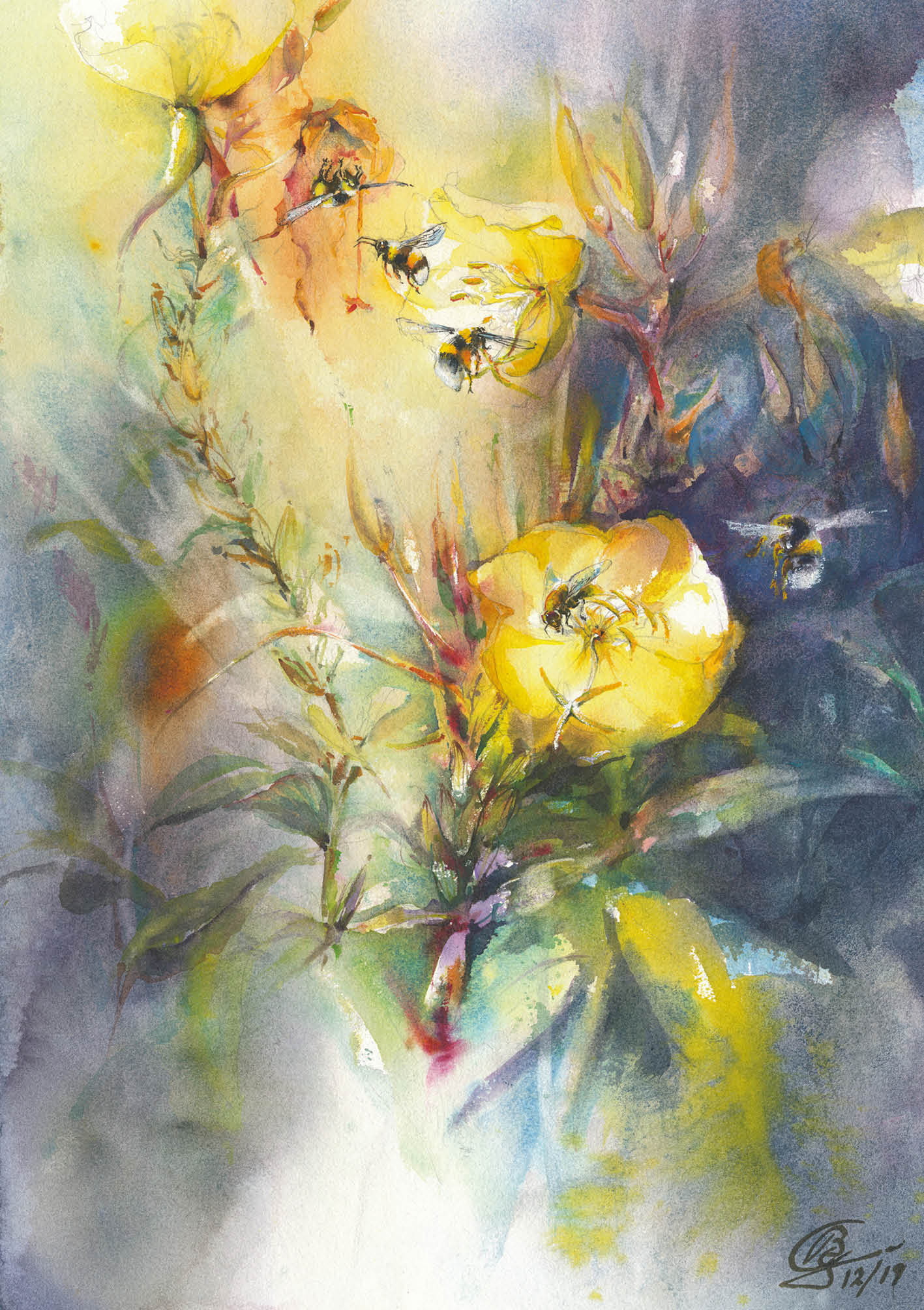 Blumensamen-Karte - Nachtkerzen und Besucher Blumensamen-Karte - Nachtkerzen und Besucher
