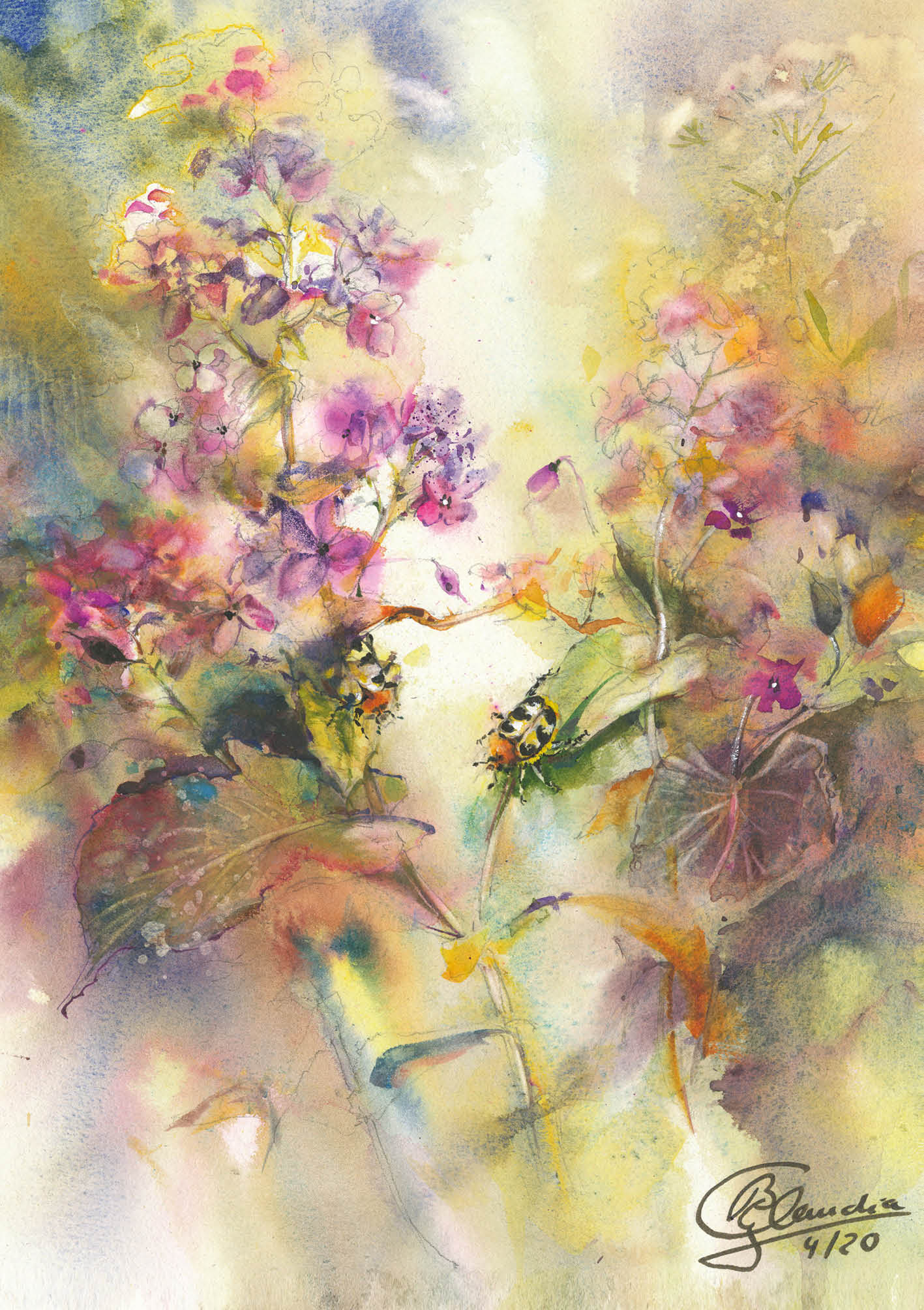 Blumensamen-Karte - Zwei Pinselkäfer Blumensamen-Karte - Zwei Pinselkäfer