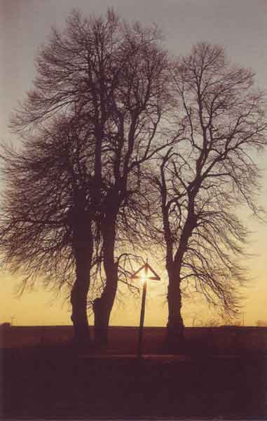 Wegkreuz im Abendlicht