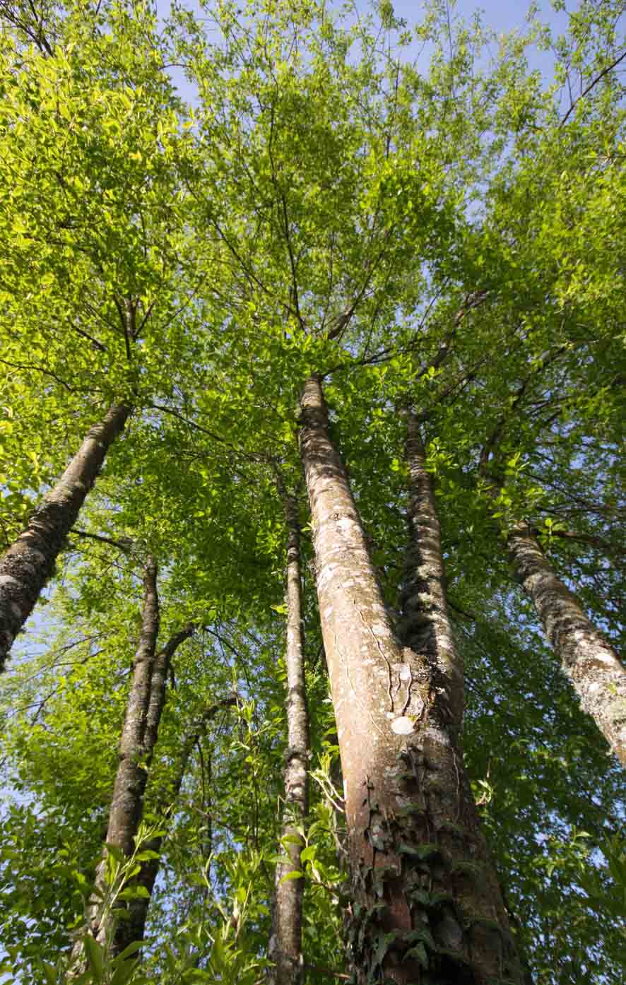Blick nach oben Blick nach oben